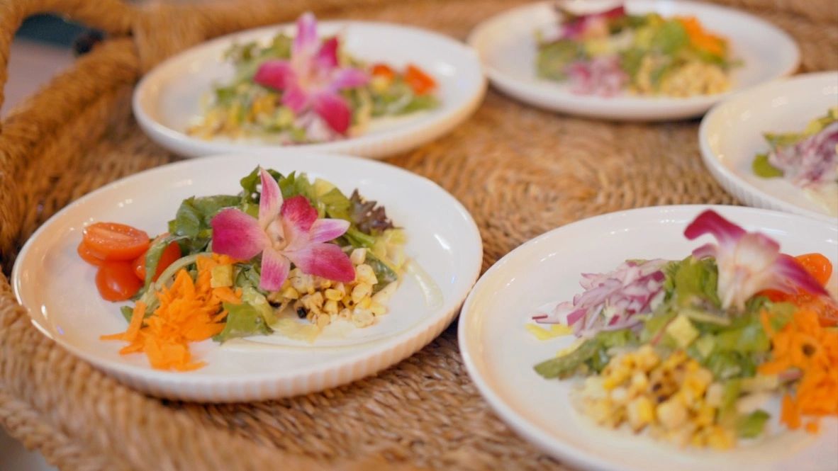 Isle 15 salad plates